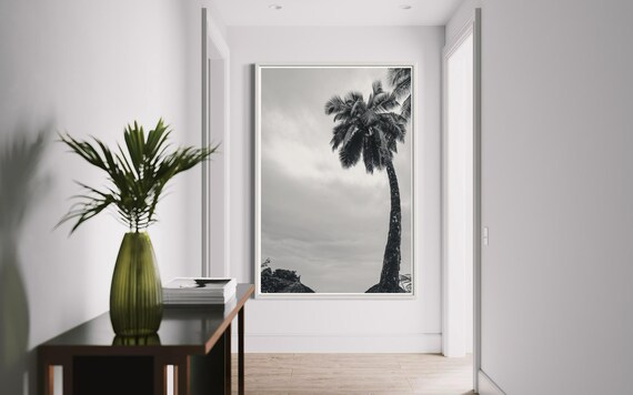 Fine Art Print - Sunset Palms - Miami, California Tropical Sunset Photo,  Orange and Green Photography Wall Art Print photo poster