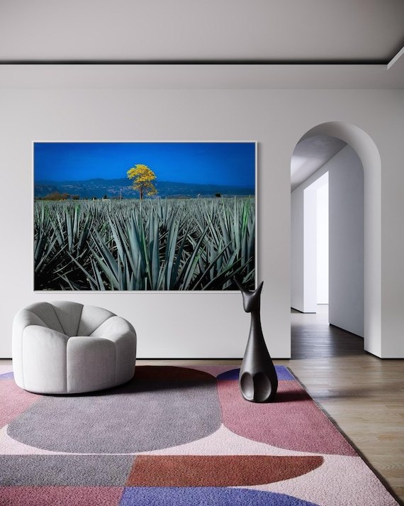 Fine Art Print - Blue Agave Field with Yellow Tree - Jalisco, Mexico Wall Art - Tequila Bar Decor, Mexican decor, Travel Poster, Gil Stunner