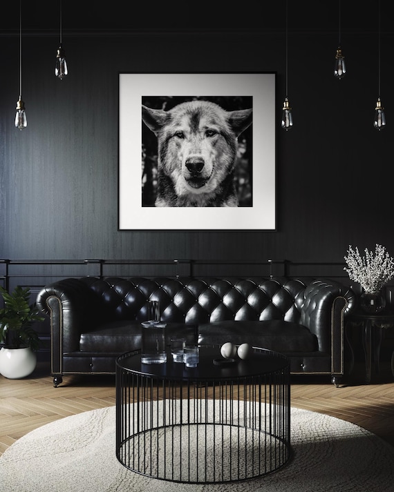 Fine Art Print - Monochrome Wolf Portrait | Bold Statement Wall Art |  Office, Bar, Rustic Lodge Decor | Masculine, Wildlife Lovers Gift