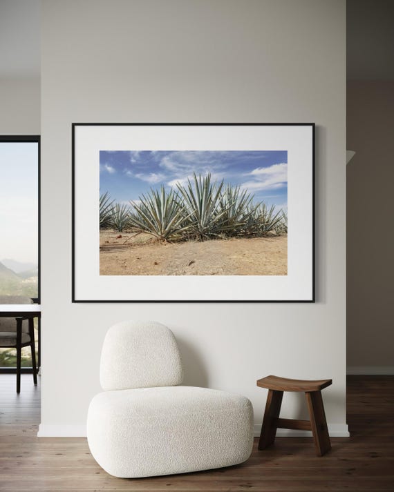 Fine Art Print - Impresión de Campo de Agave en Jalisco México, Decoración de Pared con Paisaje, Naturaleza Rústica y Estilo Mexicano