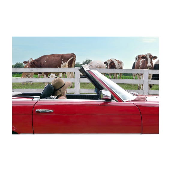 Fine Art Print - Red Convertible farmhouse wall art print, rural cows and white fence country drive, rustic decor, Modern, Vintage, Mercedes
