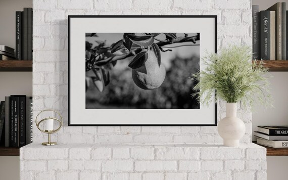 Fine Art print -  Pear on Tree Branch Black and White Wall Art, Kitchen Decor, Dining room, farm house poster, gift ideas, housewarming, art