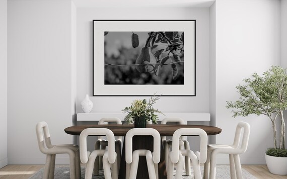 Fine Art Print - Fruit Pear Wall Art, Black and White, Dining Room, Kitchen Decor, Vintage Orchard Farmhouse- Housewarming Gift