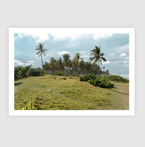 Fine Art Print - Getaway Tropical Coastal Wall Art, Palm Tree and Beach Wall Art, Vacation house Wall Decor and Home Decor, Gift