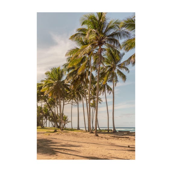 Fine Art Island Tropical Palm Trees Beach Print - Beach Coastal Travel Ocean Photography, Tropical Home Wall Decor, Gift for her, caribbean