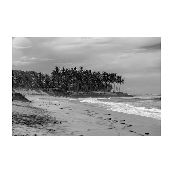Fine Art Print - Black and white tropical beach wall art, palm beach print, coastal wall art for modern neutral decor, beach house, vacation