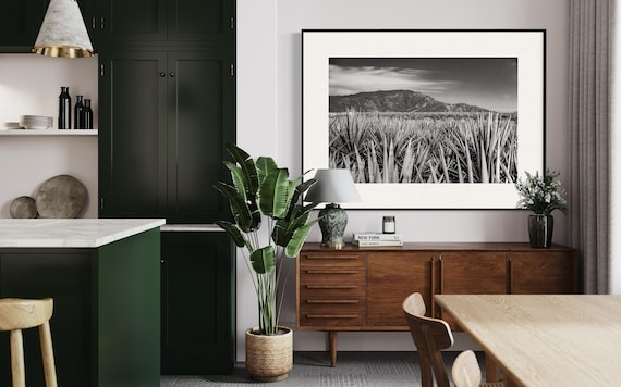 Fine Art Print - Black and White Blue Agave Field Wall Art - Jalisco, Mexico Landscape - Tequila Bar Rustic Wall Art Home Décor