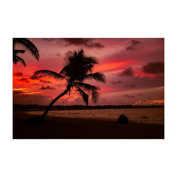 Fine Art Tulum Beach Print - Mexico Boho Palm Tree Tropical Sunset Ocean Landscape Framed Fine Art Photography Home Wall Decor