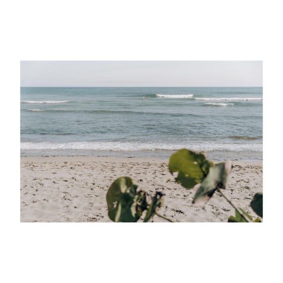 Fine Art Print - Neutral coastal ocean waves wall art, sandy shoreline with soft bokeh leaves, serene beach for minimalist calm decor, Surf