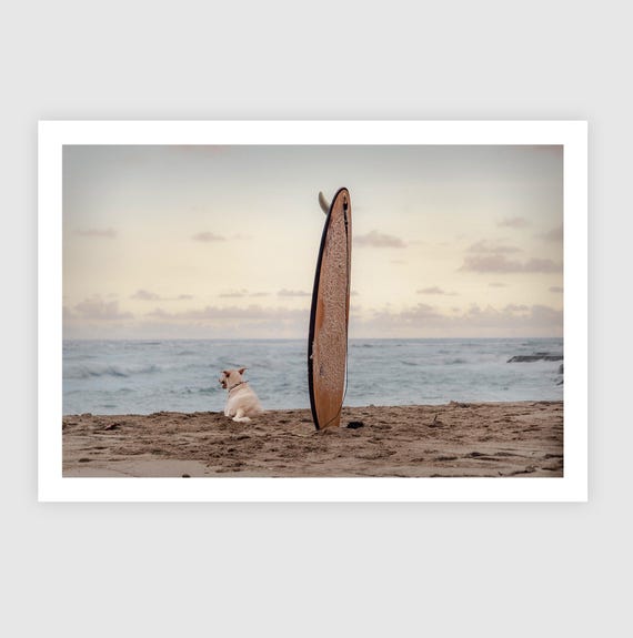 Sunset Beach Dog Surf Fine Art Print: Coastal Wall Decor