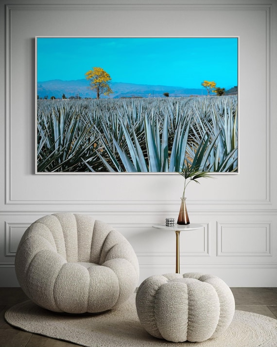 Fine Art Print - Vibrant Tequila Agave Fields with Golden Tree Wall Decor - Mexico Wall Art - Modern Decor Landscape Poster, Home Gift