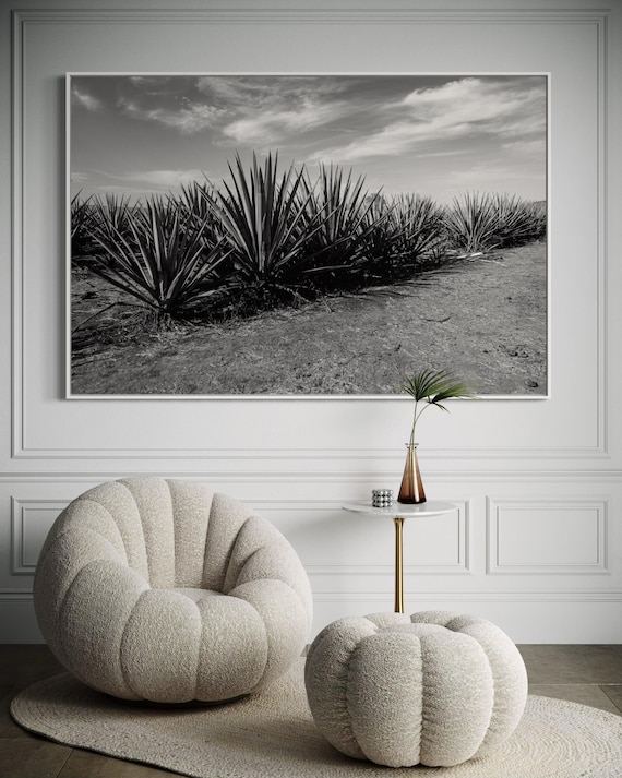 Fine Art Print - Black and WHite Tequila Blue Agave Field - Jalisco Guadalajara Minimalist Wall Art - Mexico Modern Decor, Landscape Poster,