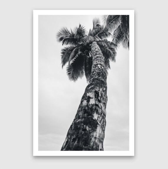 Fine Art Print - Coastal Black and white Palm tree Wall Art, tropical beach for minimalist bedroom, bath, office decor, Home Decor, Summer