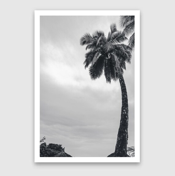 Fine Art Print - Sunset Palms Art Deco Coastal Decor, Tropical Photo, Contemporary, minimalist, Beach Vacation Home Wall Art