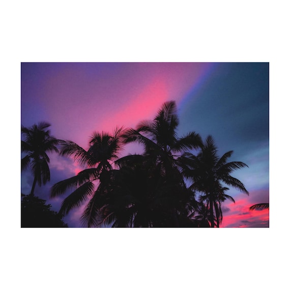 Fine Art Palm Tree Sunset Wall Art - Moody Pink Blue Sky Tropical Wall Art Print - Landscape Print Nature Wall Art for Living Room