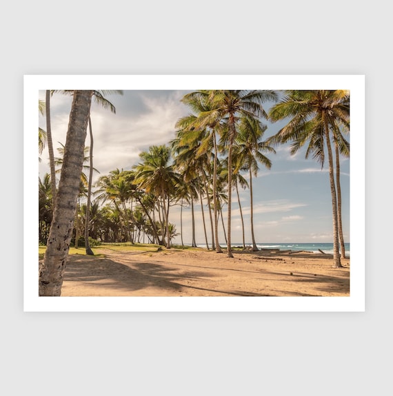 Fine Art Print - Island Beach with Palm Tree Coastal Wall Art, Tropical Ocean Home Wall Decor, Summer House, Caribbean, Vacation
