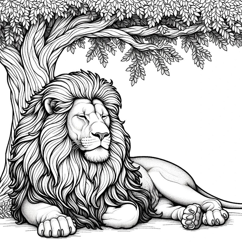 5 Lion Coloring Page, Adult Lion Coloring Page, Kids Lion Coloring Page ...