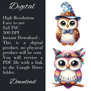 Cartoon Owl Clipart 300 DPI, High-resolution, Transparent Background ...
