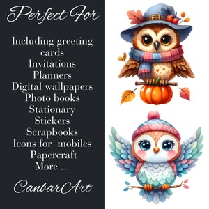 Cartoon Owl Clipart 300 DPI, High-resolution, Transparent Background ...