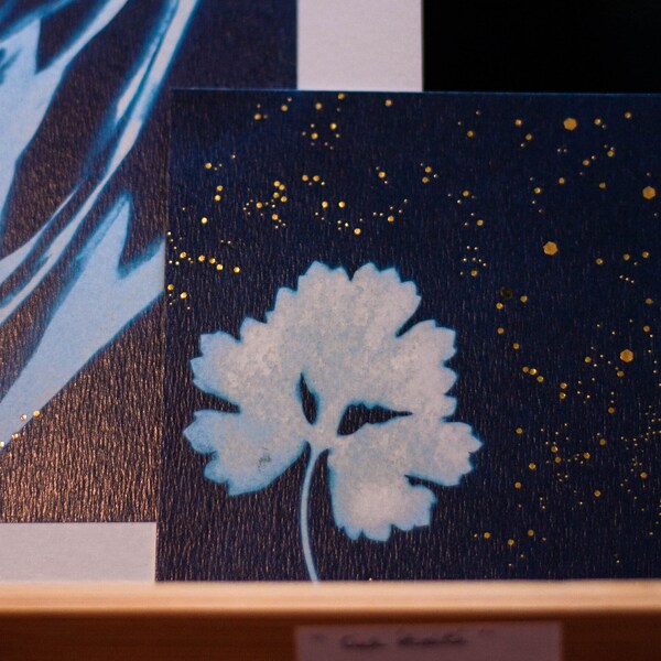 Cyanotype pailletté "Ciel étoilé"