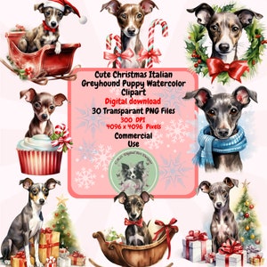 Simpatico set di PNG Clipart di Natale del levriero italiano cucciolo di Natale, 30 clipart natalizi, sfondo trasparente, sublimazione per uso commerciale