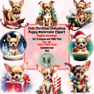 Cute Christmas Chihuahua Puppy Aquarela Clipart PNG Set, 30 Holiday Clipart, Fundo Transparente, uso comercial, Sublimação