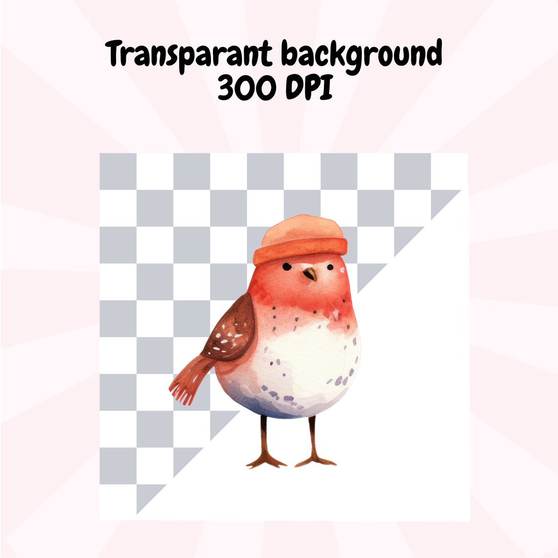 Cute Watercolor Winter Christmas Bird Clipart PNG Set of 35 Holiday ...