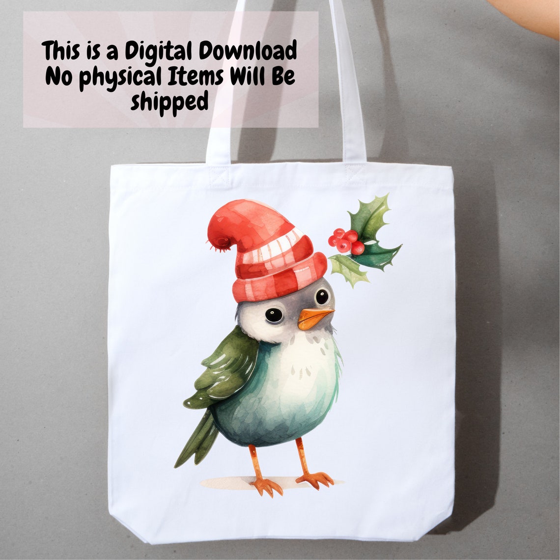 Cute Watercolor Winter Christmas Bird Clipart PNG Set of 35 Holiday ...