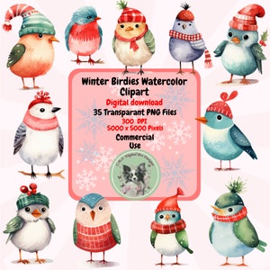 Niedliche Aquarell Winter Weihnachten Vogel Clipart PNG Set von 35 Urlaub Clipart Transparenten Hintergrund kommerzielle Nutzung Kartenherstellung Sublimation