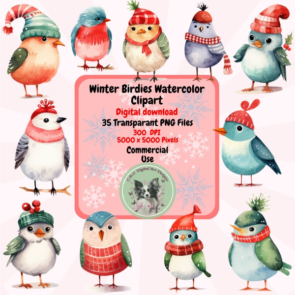 Cute Watercolor Winter Christmas Bird Clipart PNG Set of 35 Holiday  Clipart Transparent Background commercial use Card making Sublimation