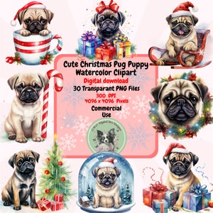 Cute Christmas Pug Puppy Watercolor Clipart PNG Set, 30 Holiday Clipart ...