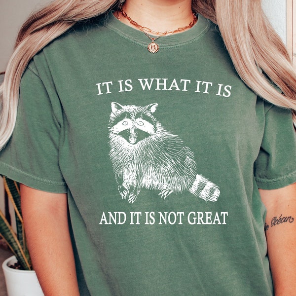 Raccoon Meme Shirt,It Is What It Is And It Is Not Great Shirt,Funny Mood Sweatshirt,Vintage Drawing Shirt,Trendy Shirt,Raccoon Shirt,funny