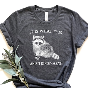 It Is What It Is And It Is Not Great Shırt,Vintage Drawing Shirt,Raccoon Meme Shirt,Funny Trash Panda Shirt,Unisex Tee,Gıft For Her,Funny