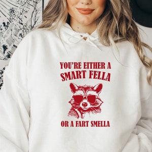 Trash Panda Hoodie, Are You A Smart Fella Or Fart Smella Hoodie, Retro Cartoon Hoodie, Weird Hoodie, Meme Sweatshirt, Unisex Raccoon Hoodie