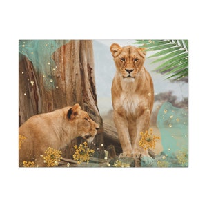 Lioness Canvas Gallery Wraps