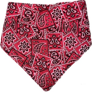 Tied Together Red Bandana Bandanchie