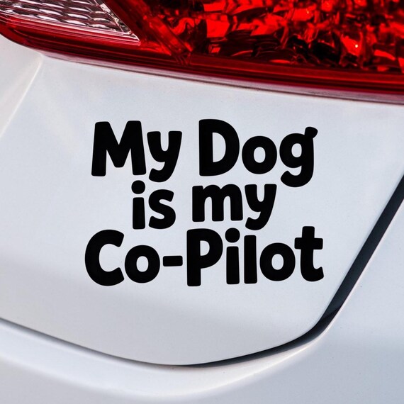 My Dog Is My Co-Pilot Car Sticker, Funny Dog Lover Decal, Pet On Board Sticker, Dog Mom Gift, Dog Dad Car Decal, Cute Paw Vinyl