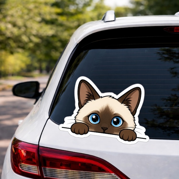 Peeking Cat Car Decal, Funny Cat Window Sticker, Cat Lover Gift, Cat Mom Gift, Waterproof Kitten Vinyl Bumper Laptop Sticker for Cat Owners