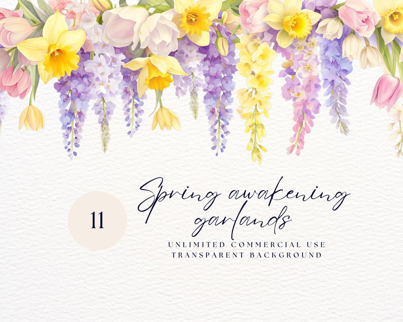 May include: A digital illustration of a spring garland with yellow daffodils, purple wisteria, pink and white tulips, and green leaves. The garland is hanging from the top of the image and has a white background. The text "Spring awakening garlands" is written in black cursive script below the garland. The number "11" is written in a circle below the text. The text "UNLIMITED COMMERCIAL USE TRANSPARENT BACKGROUND" is written in black below the number.