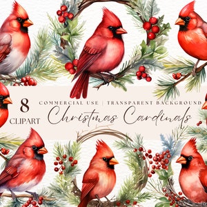 Rot Kardinal Clipart | Winter Clipart | Geschmückter Weihnachtsbaum | Roter Kardinal Png | Weihnachten Clipart | Aquarell Weihnachten