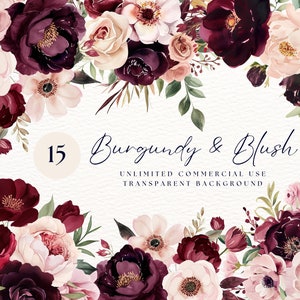 Aquarel Blush en Bourgondië bloemen clipart | Herfst clipart | Gratis commercieel gebruik | Vintage roos clipart | Bourgondische bruiloft clipart