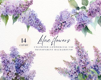 Syren Png | Syrenblommor Clipart | Akvarell Syrenblommor Clipart | Väggkonst... | Blomram | Syrenbukett i vas | Vårblommor