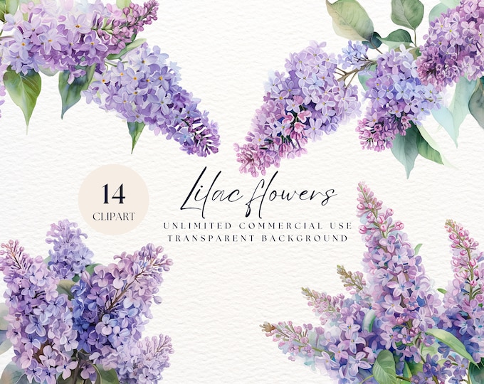 Lilac Clipart | Floral Clipart | Wedding Clipart | Watercolor Flowers ...