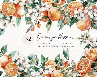 Orange Blossoms | Summer Citrus Clipart | Flower Blossom | Digital Clipart Png | Orange Twig Clipart | Transparent Png | Oranges Png
