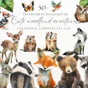 Imágenes prediseñadas de criaturas del bosque de acuarela / Imágenes prediseñadas de animales del bosque / Sellos digitales del bosque / Uso comercial / Imágenes prediseñadas de zorro / Descarga instantánea