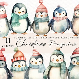 Cute Penguin Png | Christmas Clip Art | Winter Clipart | Winter Animals | Holiday Penguins | Baby Penguin | Instant Digital Download