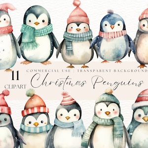 Cute Penguin Png | Christmas Clip Art | Winter Clipart | Winter Animals | Holiday Penguins | Baby Penguin | Instant Digital Download