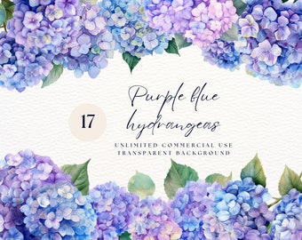Hydrangea Watercolor Clipart, Watercolor Hydrangea Floral Clipart, Hydrangea Bouquet, Instant Download, Wedding Card, Floral Clipart