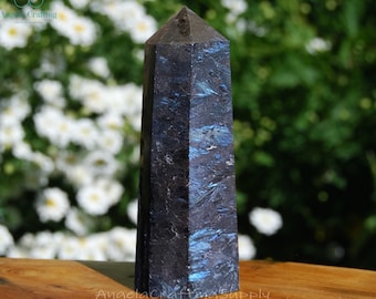 Arfvedsonite Crystal Tower Point, Natural Stone Obelisk Wand, Healing Crystals, Mineral Specimens Throat Chakra
