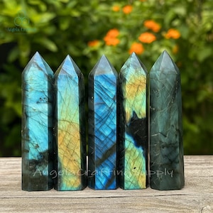 May include: Five polished labradorite crystal towers. Each tower is a different shade of blue, green, and yellow, with a polished, faceted top. The crystals are arranged in a row against a blurred green and orange background.